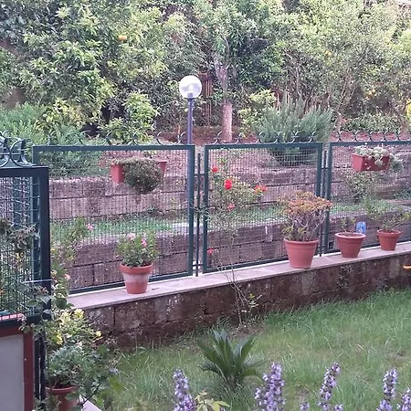 Bed & Breakfast Il Giardino Di Montariello Sorrento