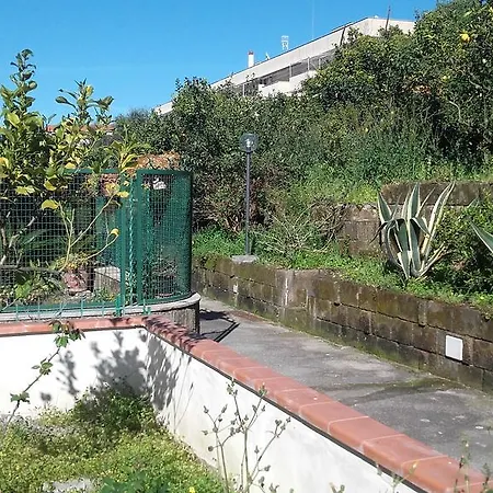 Il Giardino Di Montariello *